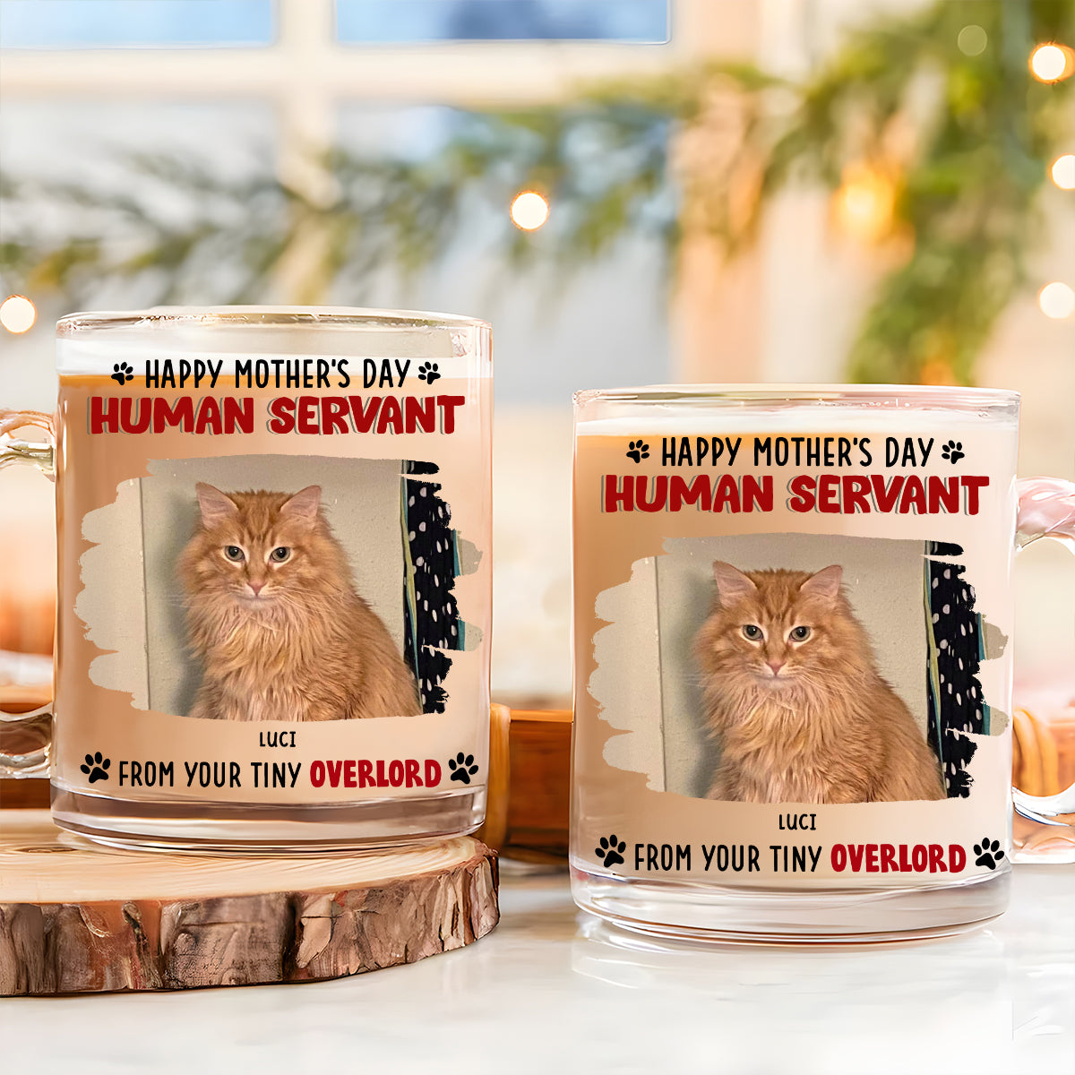 Custom Photo Mother's day Birthday Gifts For Cat Mom, Cat Lovers • Happy Human Servant Ver Cat Photo - Personalized Glass Mug