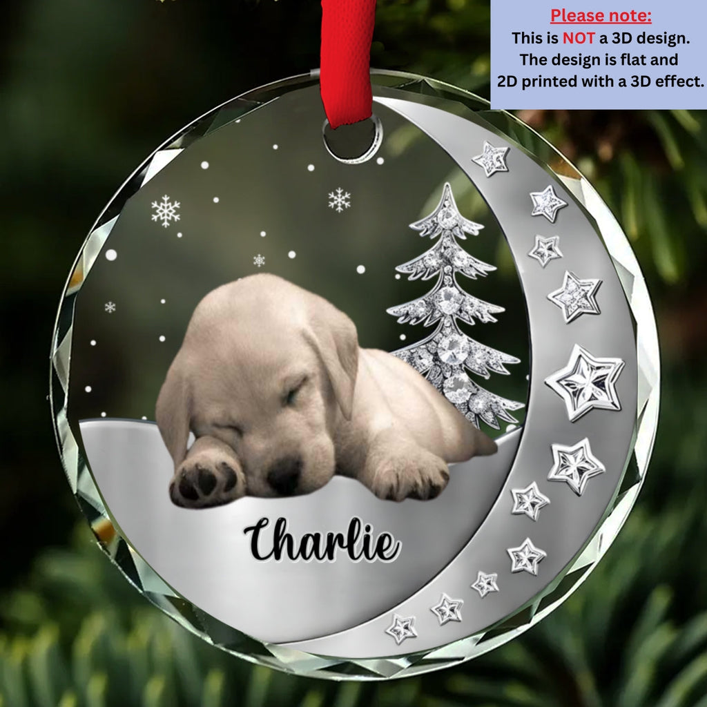 Custom Christmas Memorial Sympathy Gifts For Dogs, Cats • Beside You Photo - Personalized 3D Effect Glass Ornament