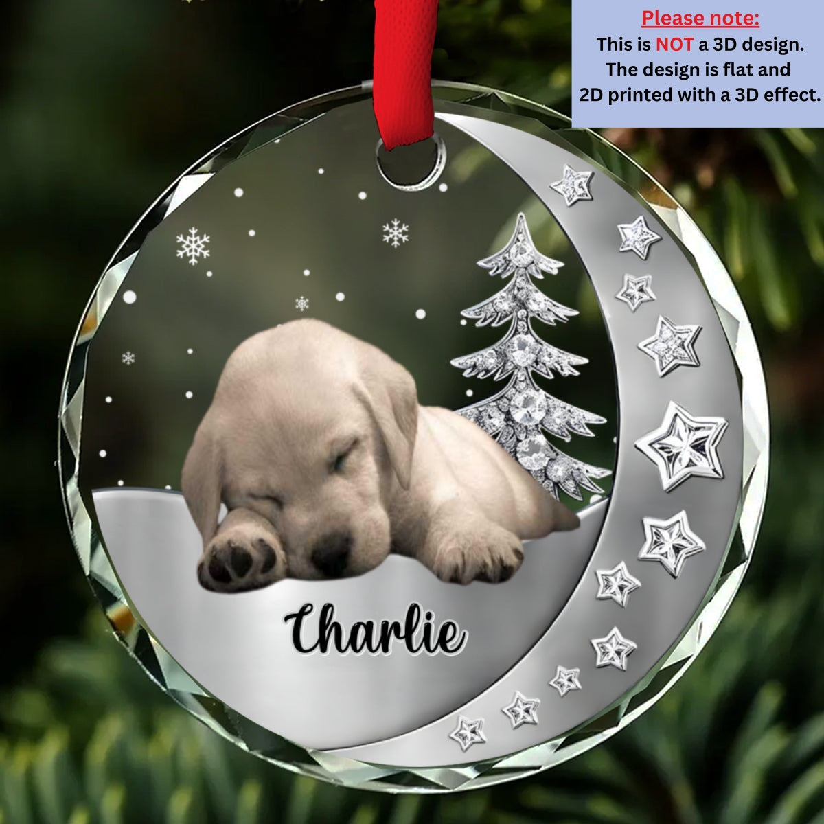 Custom Christmas Memorial Sympathy Gifts For Dogs, Cats • Beside You Photo - Personalized 3D Effect Glass Ornament