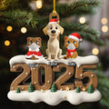 Custom Christmas Decor Home Birthday Gifts For Pet Lovers • Only Them This Year - Personalized 3D Effect Wood Ornament