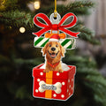 Custom Christmas Decor Home Birthday Gifts For Dog Mom, Dog Lovers • Funny Gift - Personalized Acrylic Ornament