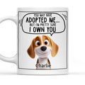Custom Christmas Birthday Gifts For Dog Lovers • We Sure We Own You Cartoon - Personalized Coffee Mug