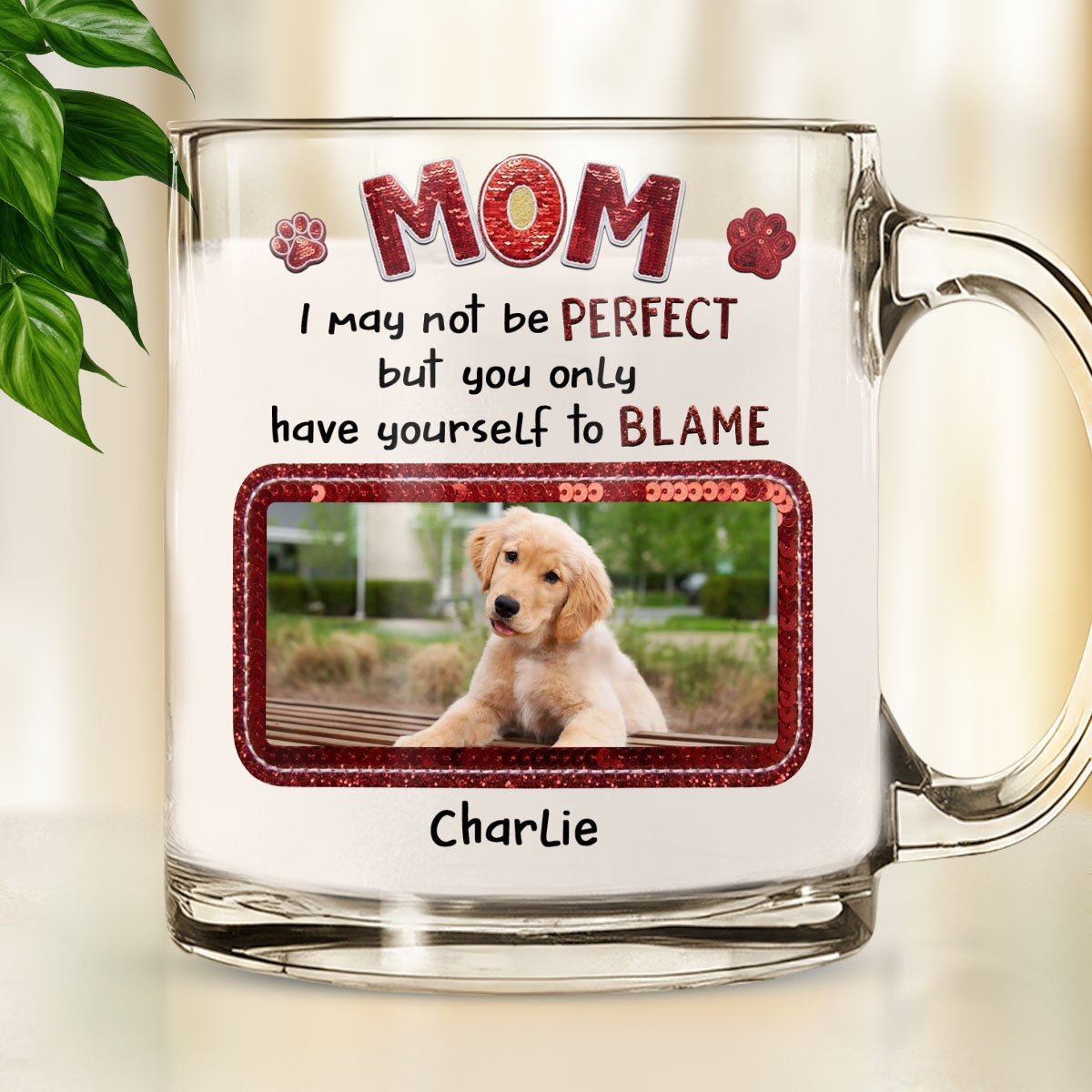 Custom Photo Mother's day Birthday Gifts For Dog Mom, Dog Lovers • May Not Perfect Photo - Personalized Glass Mug