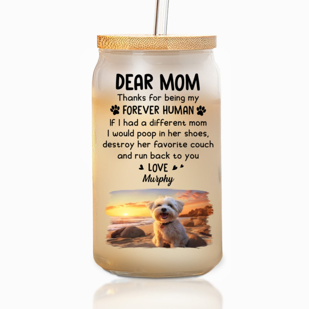 Thanks For Being My Forever Human Photo - Personalized Glass Can