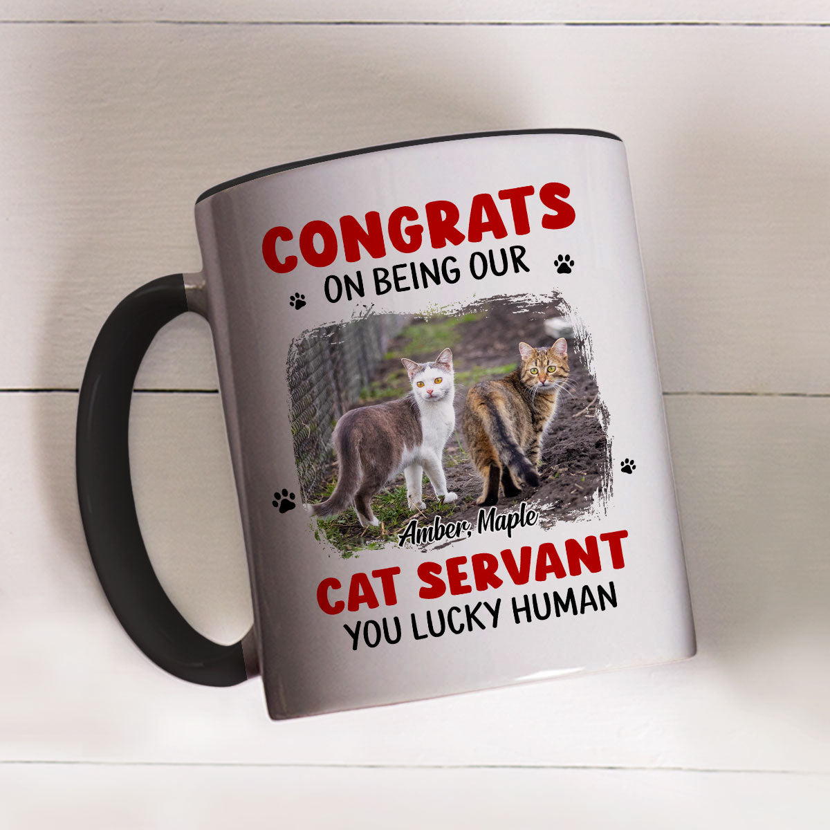 Custom Photo Christmas Birthday Gifts For Cat Lovers • You Lucky Hooman Cat Servant Photo - Personalized Accent Mug