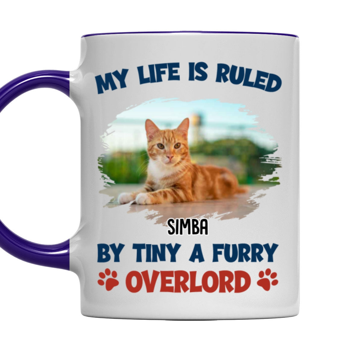 Custom Photo Christmas Birthday Gifts For Cat Lovers • Life Is Ruled By Cat Butt Photo - Personalized Accent Mug
