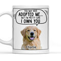 Custom Photo Christmas Birthday Gifts For Dog Lovers • We Sure We Own You Cartoon Photo - Personalized Coffee Mug