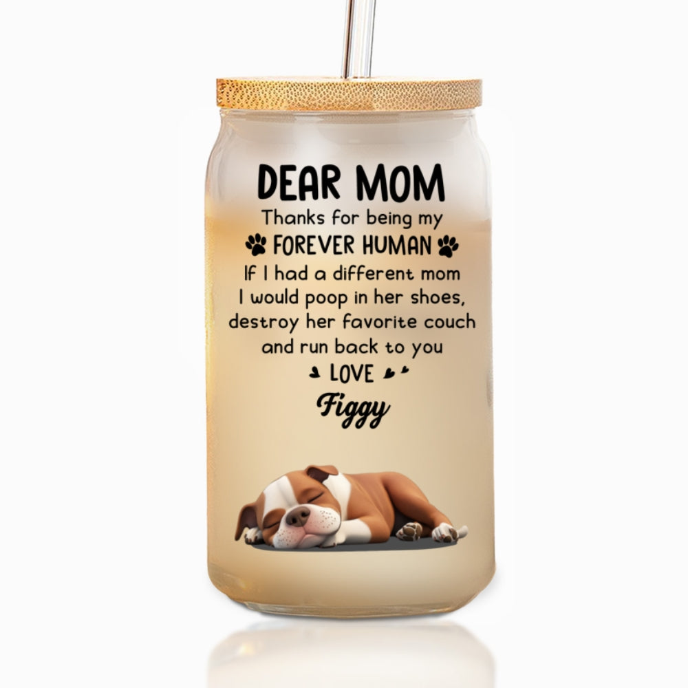 Thanks For Being My Forever Human - Personalized Glass Can