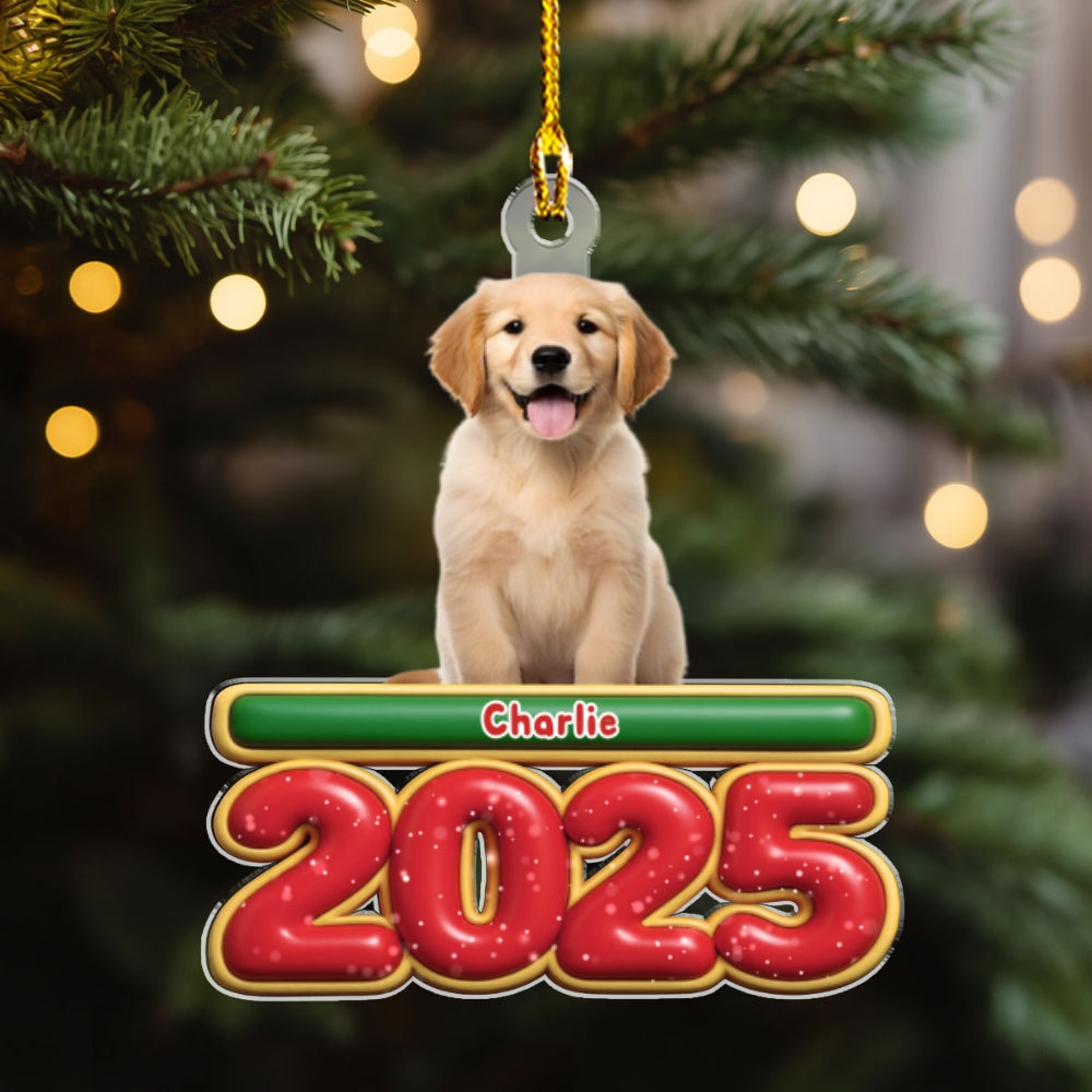 Custom Christmas Decor Home Birthday Gifts For Pet Lovers • My Pet Is Here Photo - Personalized Acrylic Ornament