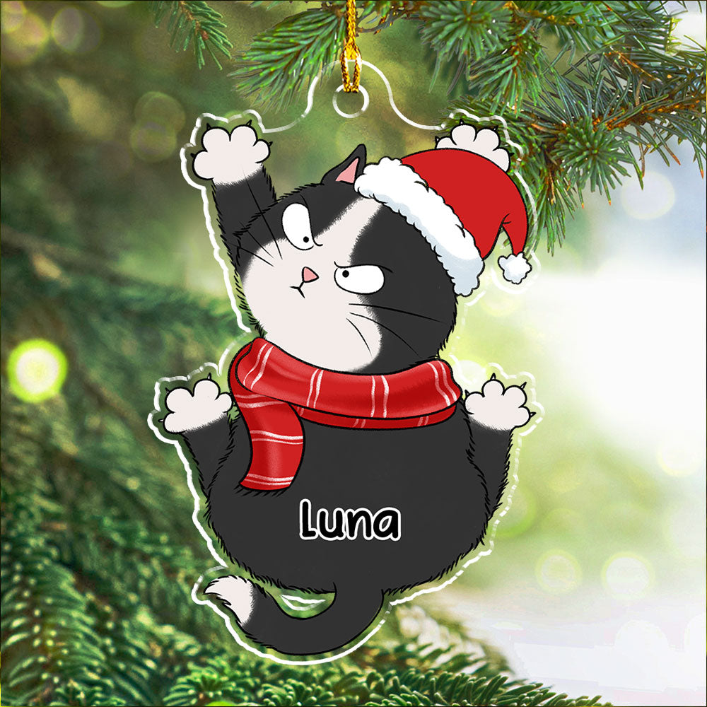 Funny Scratching - Personalized Acrylic Ornament