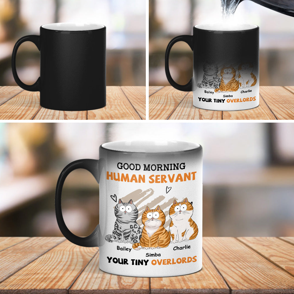 Custom Photo Mother's day Birthday Gifts For Cat Mom, Cat Lovers • Good Morning - Personalized Color Changing Mug