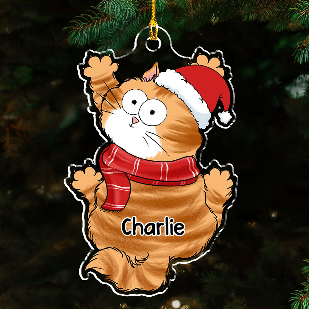 Funny Scratching - Personalized Acrylic Ornament