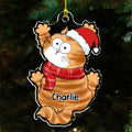 Funny Scratching - Personalized Acrylic Ornament