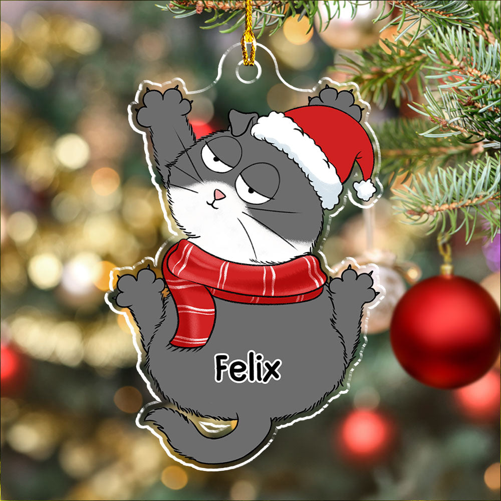 Funny Scratching - Personalized Acrylic Ornament