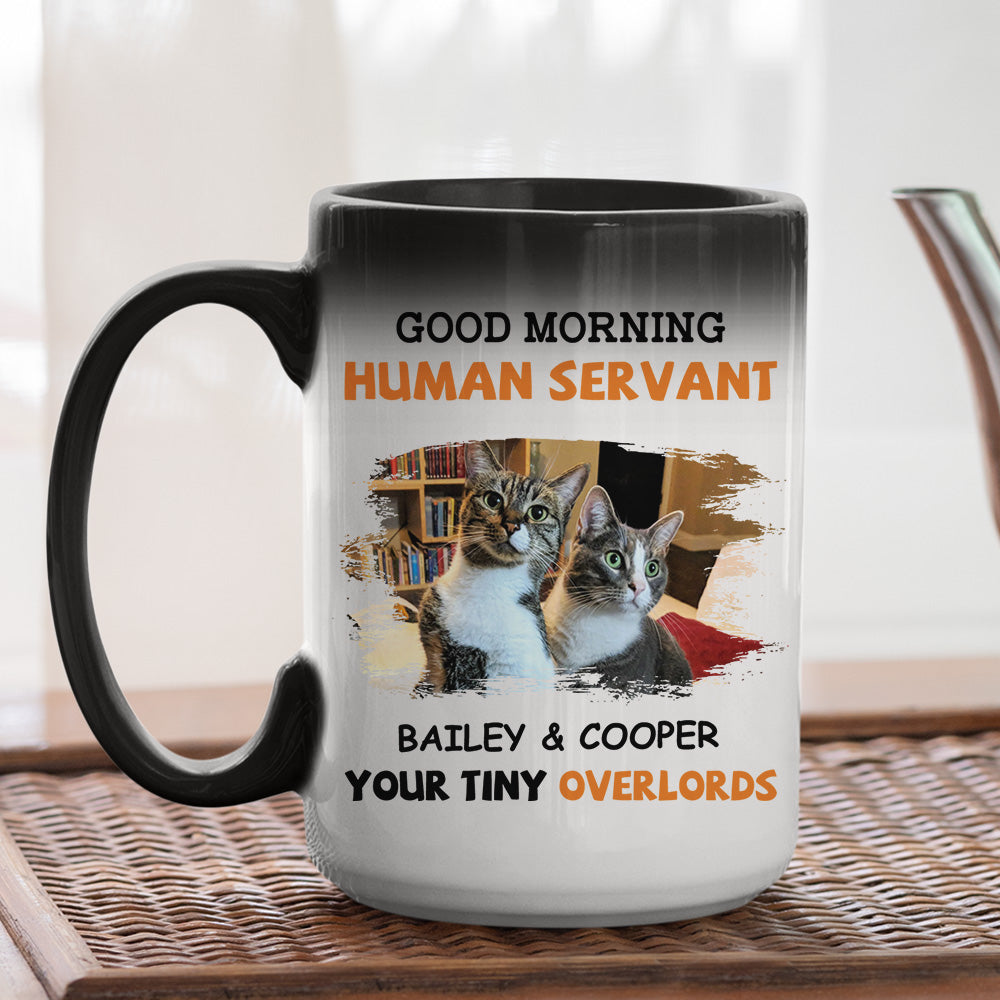 Custom Photo Mother's day Birthday Gifts For Cat Mom, Cat Lovers • Good Morning - Personalized Color Changing Mug