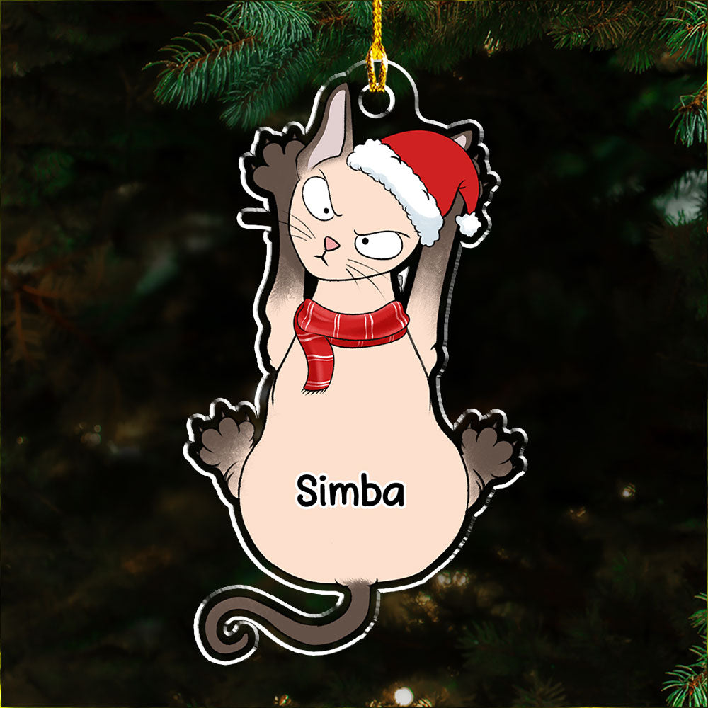 Funny Scratching - Personalized Acrylic Ornament
