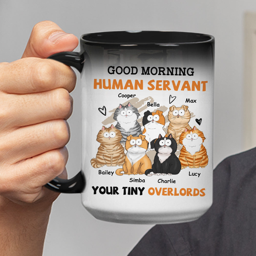 Custom Photo Mother's day Birthday Gifts For Cat Mom, Cat Lovers • Good Morning - Personalized Color Changing Mug