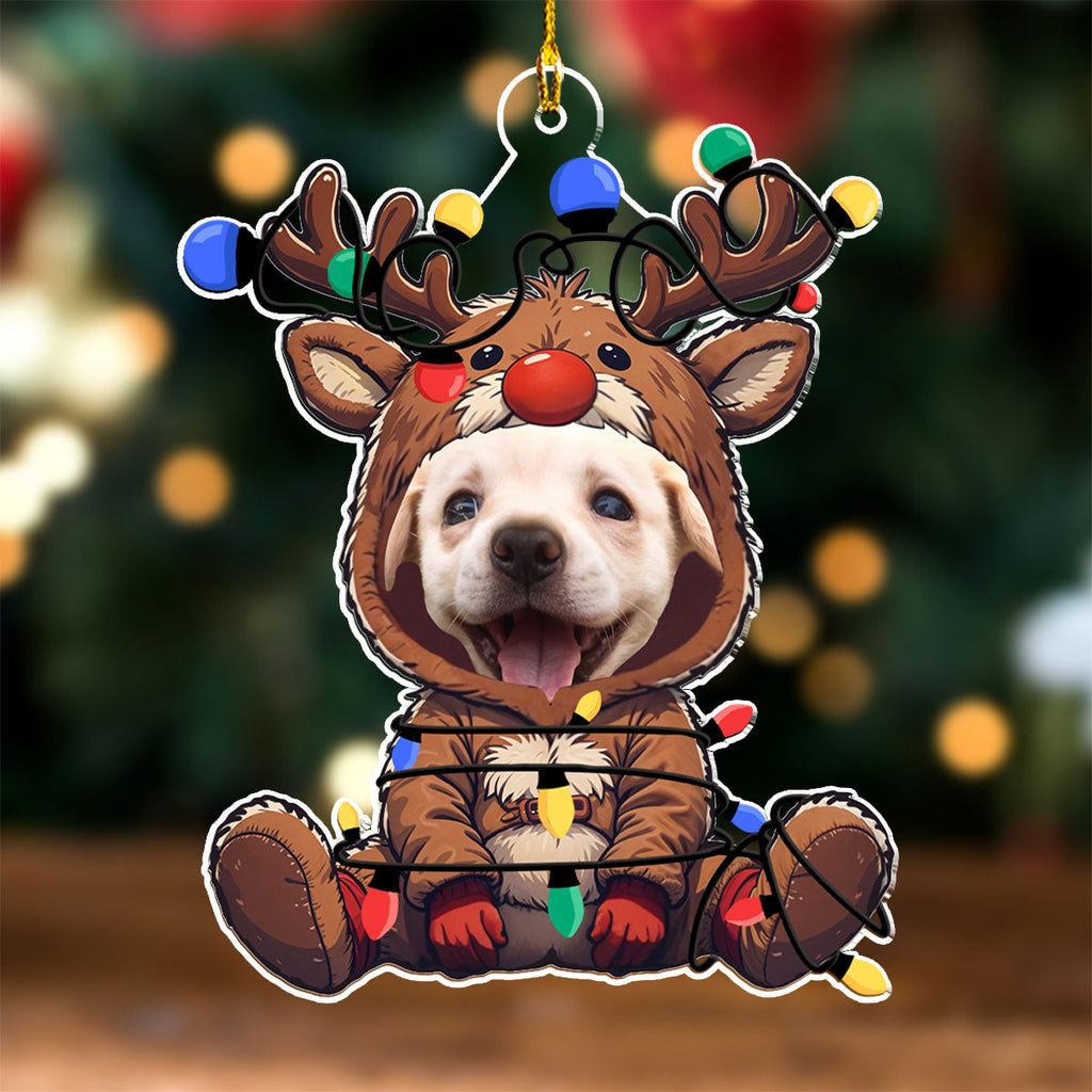 Reindeer Pet Christmas Photo - Personalized Acrylic Ornament