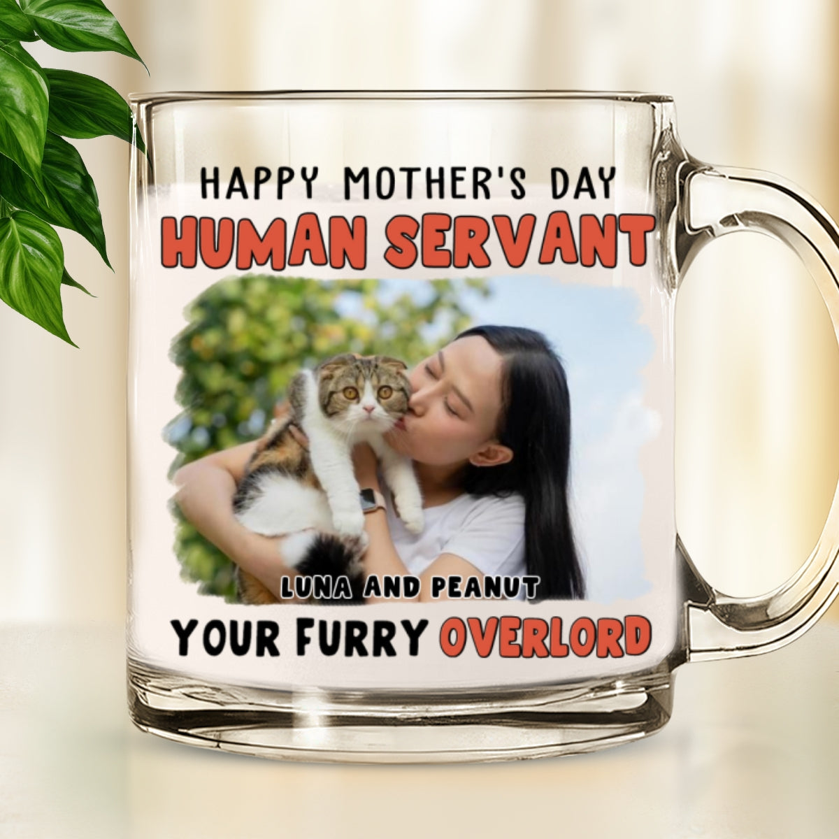 Custom Photo Father's day Birthday Gifts For Cat Dad, Cat Lovers • Your Furry Overlords Photo - Personalized Glass Mug