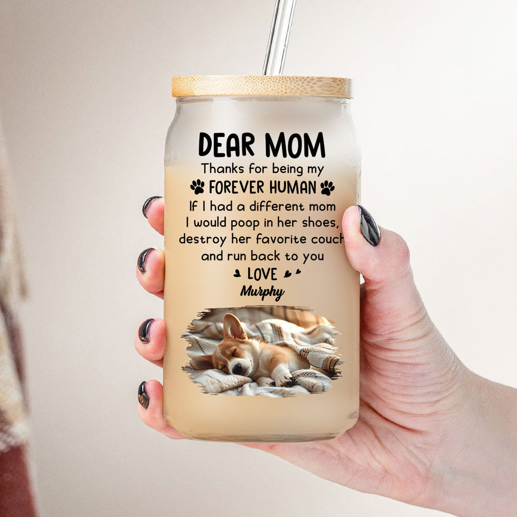 Thanks For Being My Forever Human Photo - Personalized Glass Can