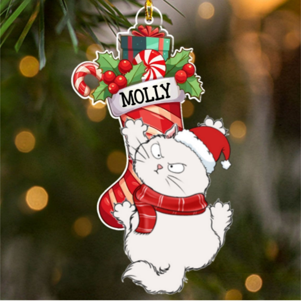 Cat Scratching - Personalized Acrylic Ornament
