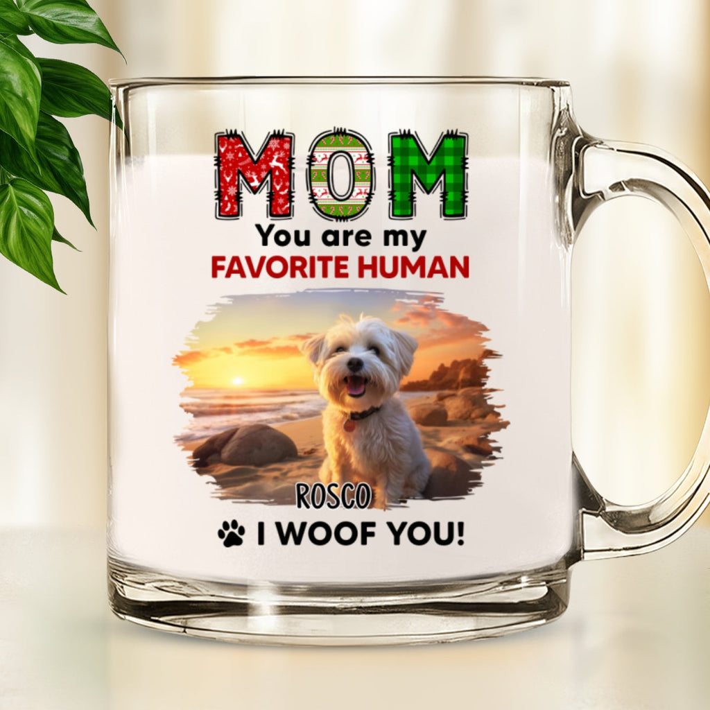 Custom Photo Christmas Birthday Gifts For Dog Lovers • My Favorite Photo - Personalized Glass Mug