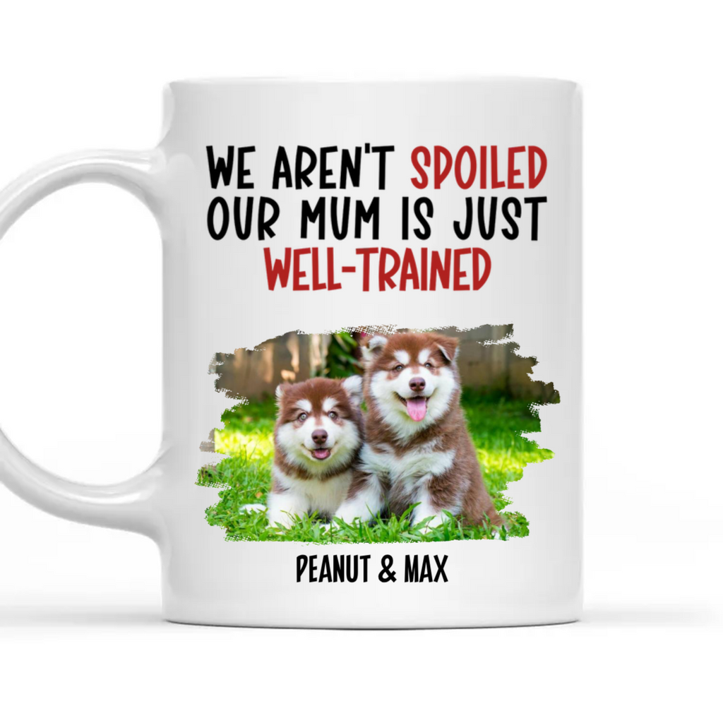 Custom Photo Christmas Birthday Gifts For Dog Lovers • Well Trained Mom Photo - Personalized Coffee Mug