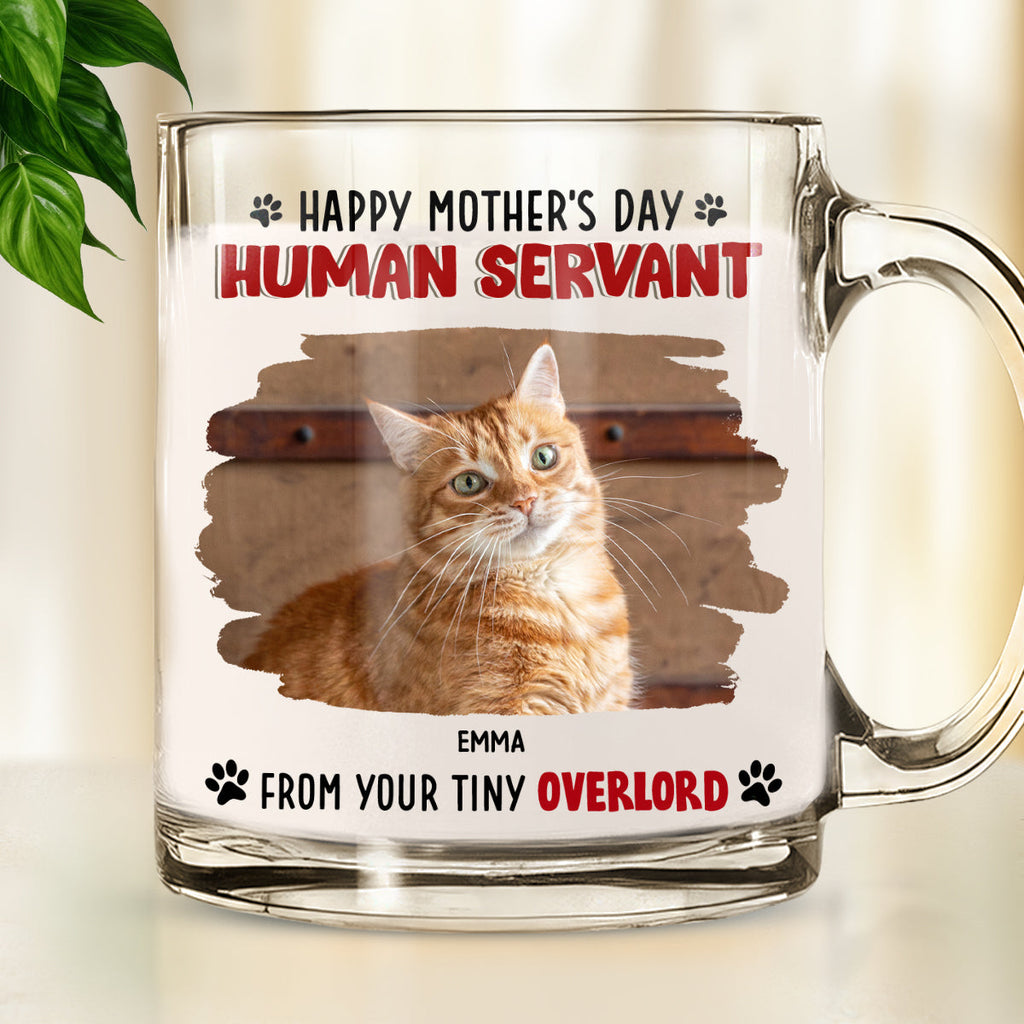 Custom Photo Mother's day Birthday Gifts For Cat Mom, Cat Lovers • Happy Human Servant Ver Cat Photo - Personalized Glass Mug