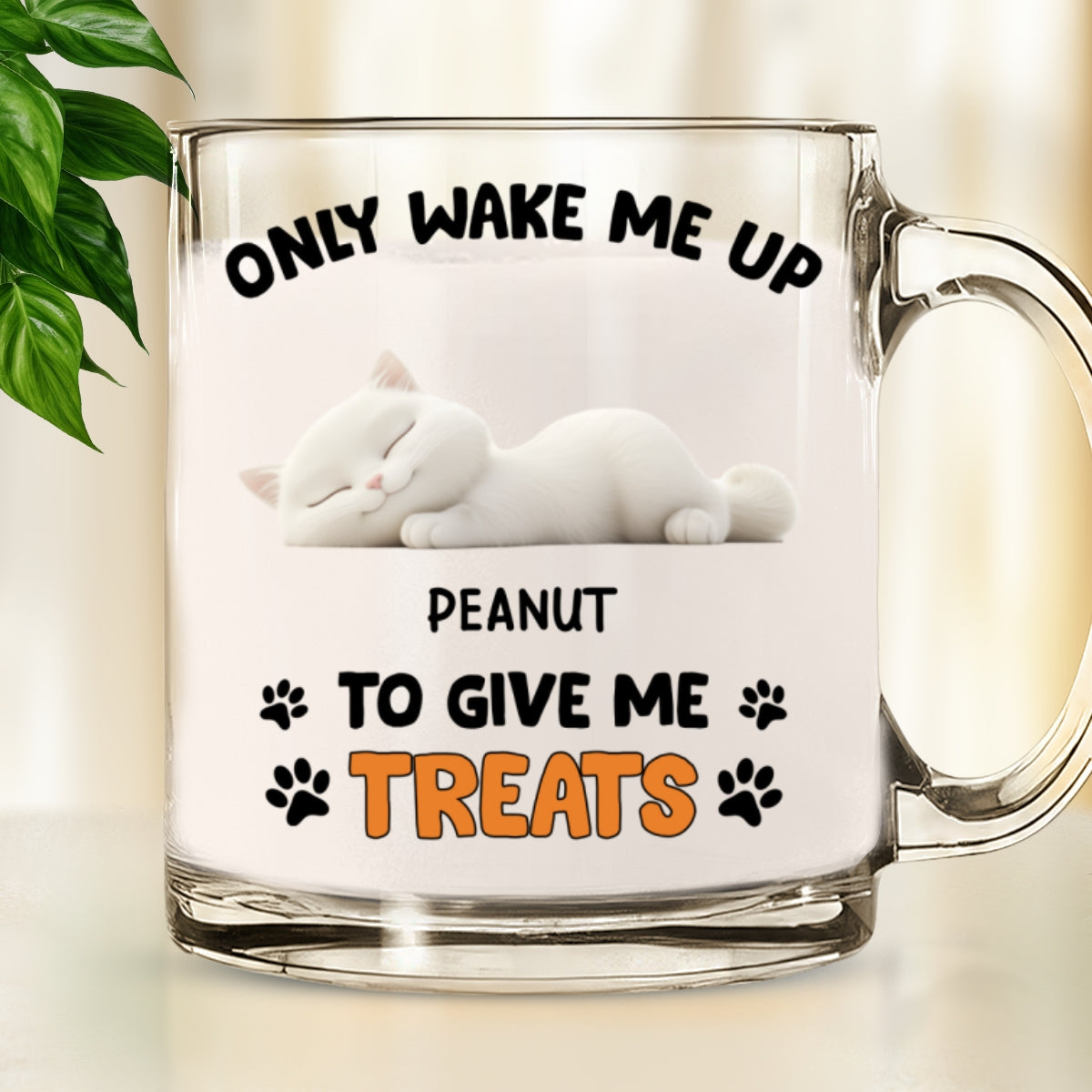 Custom Christmas Birthday Gifts For Cat Lovers • Only Wake Me Up - Personalized Glass Mug