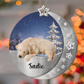Custom Christmas Decor Home Birthday Gifts For Dog Mom, Dog Lovers • Beside You Photo - Personalized 3D Effect Suncatcher Ornament